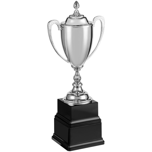 Кубок Grandee, серебристый фото 2