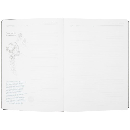 Ежедневник «История изобретений», недатированный, серый фото 4 Ежедневник «История изобретений», недатированный, серый фото 4
