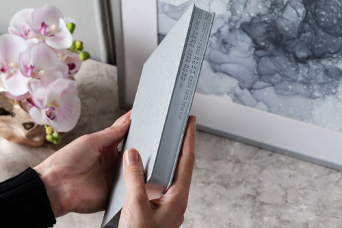 Ежедневник «Исторический», полудатированный, серебро фото 13