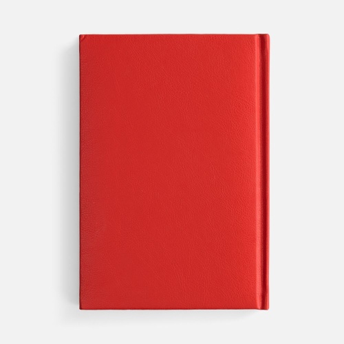 Ежедневник Baza, датированный, красный фото 2