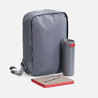 Набор Flexpen Travel, серый с красным