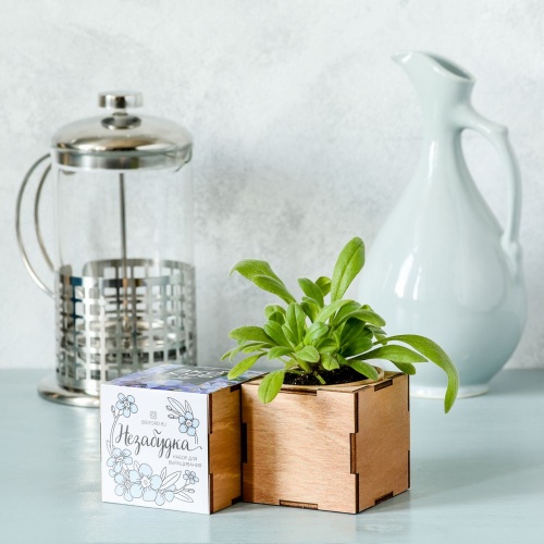 Набор для выращивания «Экокуб Lite», незабудка фото 3 Набор для выращивания «Экокуб Lite», незабудка фото 3