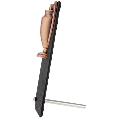 Награда Triumph Bronze фото 3