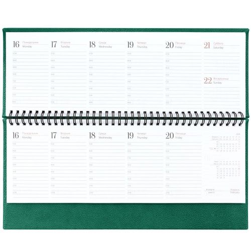 Планинг Sagrin, датированный, зеленый фото 3