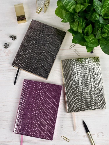 Ежедневник Anaconda, недатированный, серебристый фото 5 Ежедневник Anaconda, недатированный, серебристый фото 5