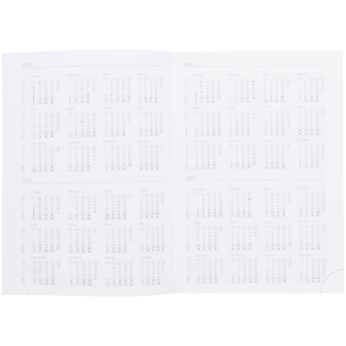 Ежедневник Vivian, недатированный, красный фото 3