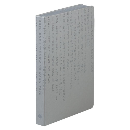 Ежедневник «Исторический», полудатированный, серебро фото 3