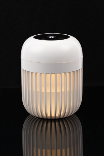 Переносной увлажнитель-ароматизатор с подсветкой PH11, белый Переносной увлажнитель-ароматизатор с подсветкой PH11, белый