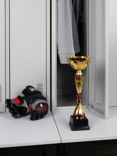 Кубок Awardee, средний, красный фото 3 Кубок Awardee, средний, красный фото 3