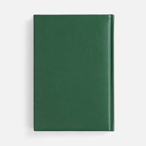 Ежедневник Baza, датированный, зеленый фото 2