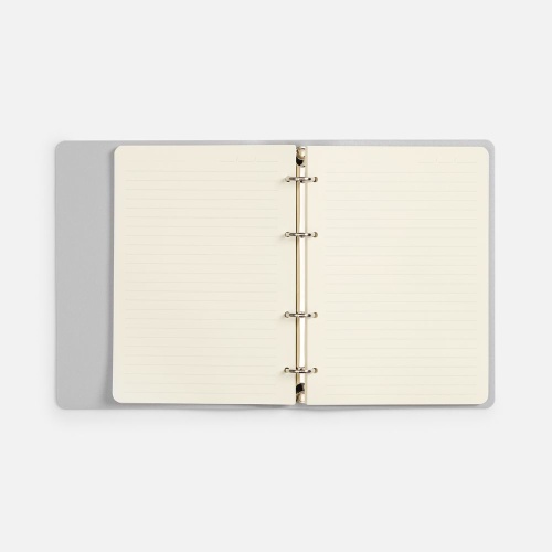 Ежедневник Ringo, недатированный, серебристый фото 2