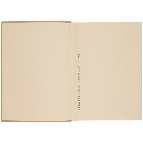 Ежедневник Anaconda, недатированный, золотистый фото 4 Ежедневник Anaconda, недатированный, золотистый фото 4