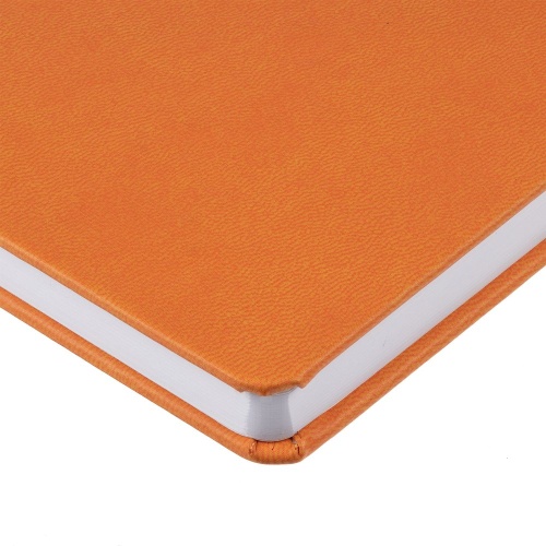 Ежедневник Base Mini, недатированный, оранжевый фото 6 Ежедневник Base Mini, недатированный, оранжевый фото 6