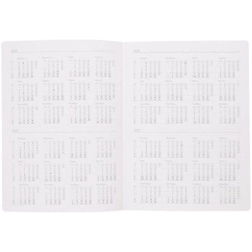 Ежедневник Flexpen, недатированный, серебристо-синий фото 10