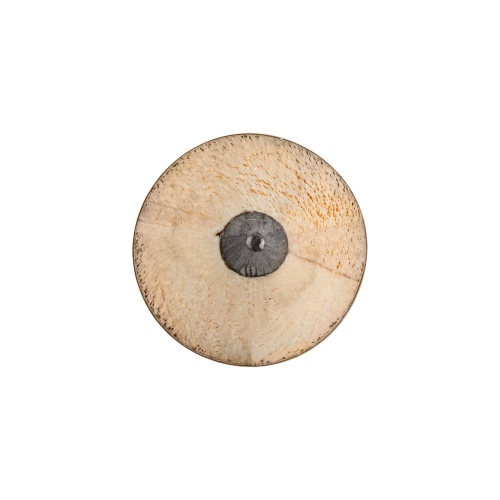 Карандаш простой Mini, белый фото 4 Карандаш простой Mini, белый фото 4