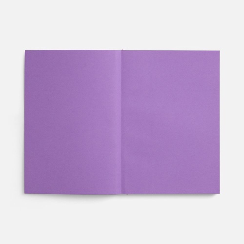 Ежедневник Flat, недатированный, фиолетовый, ver.2 фото 4