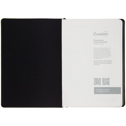 Ежедневник Alanis, недатированный, черный с зеленым фото 4