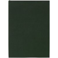 Ежедневник Flat Light, недатированный, зеленый