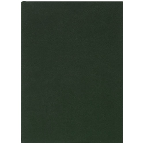 Ежедневник Flat Light, недатированный, зеленый