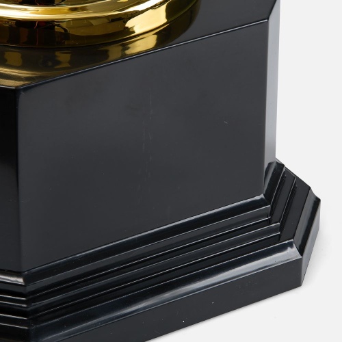 Кубок Recordsman, золотистый фото 3