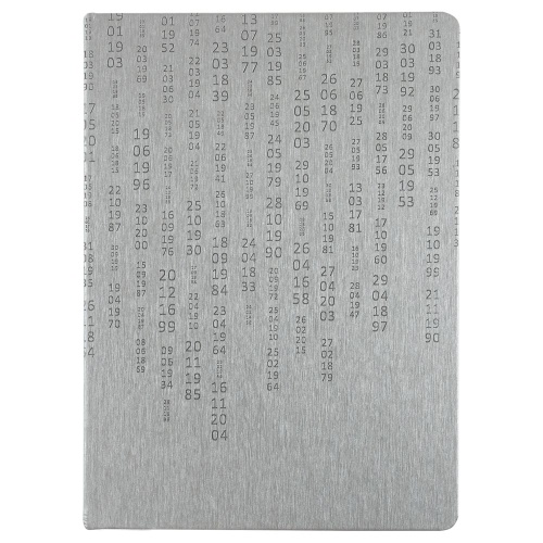 Ежедневник «Исторический», полудатированный, серебро фото 4