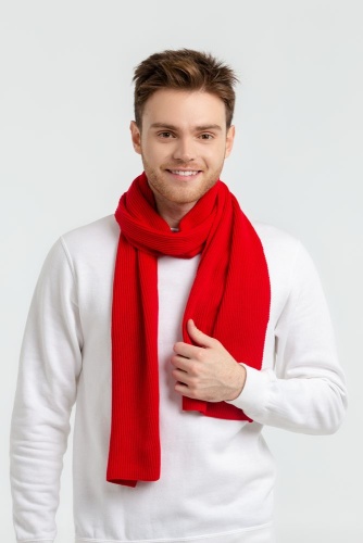 Шарф Life Explorer, ярко-красный фото 3