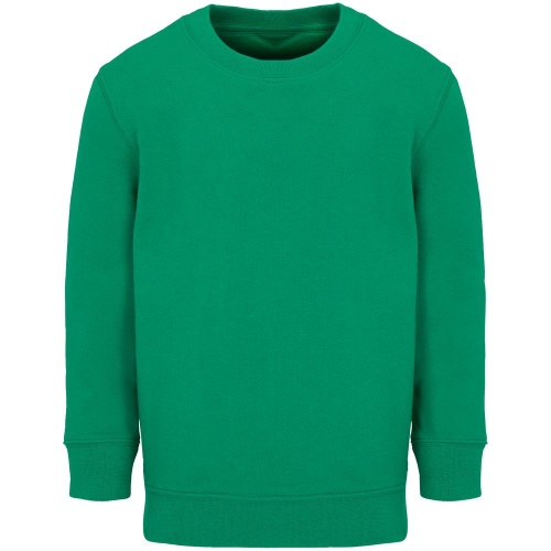 Свитшот детский Columbia Kids, ярко-зеленый Свитшот детский Columbia Kids, ярко-зеленый