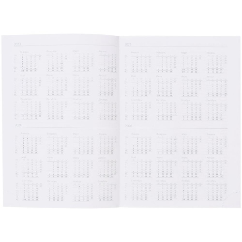 Ежедневник Vivian Metal, недатированный, серый фото 6