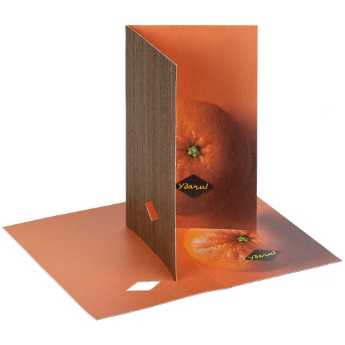 Открытка «Мандарин удачи» Открытка «Мандарин удачи»