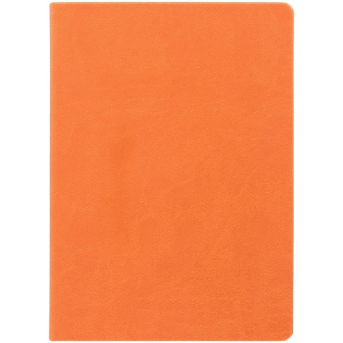 Ежедневник Basis, датированный, оранжевый фото 3
