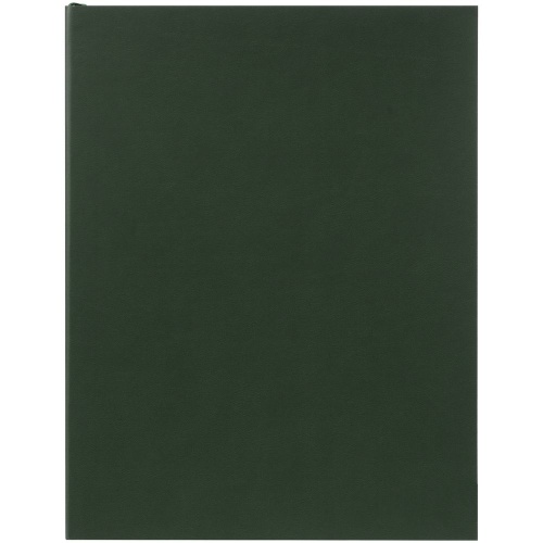 Ежедневник Flat Maxi, недатированный, зеленый фото 3