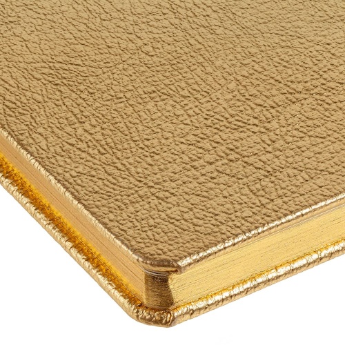 Блокнот NosoRock, золотистый фото 5 Блокнот NosoRock, золотистый фото 5