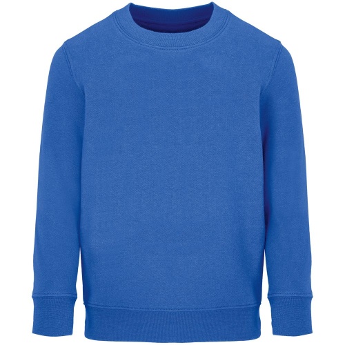 Свитшот детский Columbia Kids, ярко-синий (royal) Свитшот детский Columbia Kids, ярко-синий (royal)