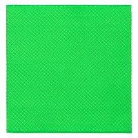 Лейбл тканевый Epsilon, L, зеленый неон