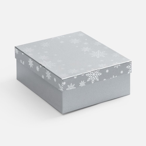 Коробка Wintry, серебристая