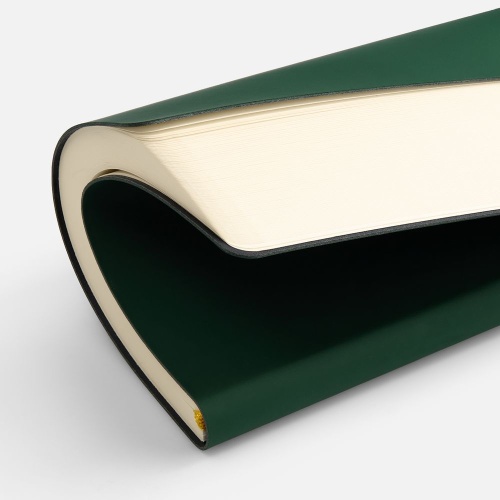 Ежедневник Flex Shall New, недатированный, зеленый фото 3