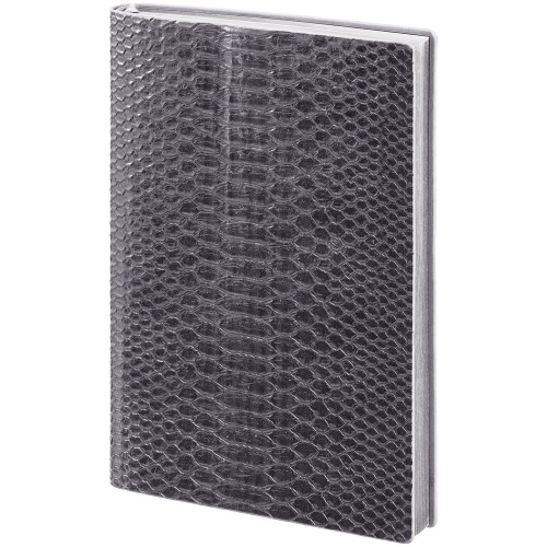 Ежедневник Anaconda, недатированный, серебристый фото 2 Ежедневник Anaconda, недатированный, серебристый фото 2