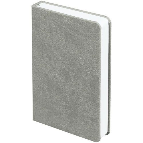Ежедневник Basis Mini ver.2, недатированный, серый Ежедневник Basis Mini ver.2, недатированный, серый