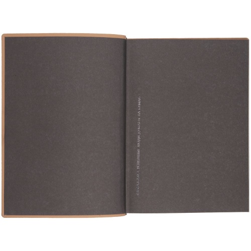 Ежедневник Anaconda, недатированный, серебристый фото 3 Ежедневник Anaconda, недатированный, серебристый фото 3