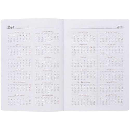 Ежедневник Flex Shall, датированный, красный фото 6