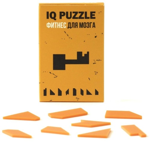 Головоломка IQ Puzzle, ключ Головоломка IQ Puzzle, ключ