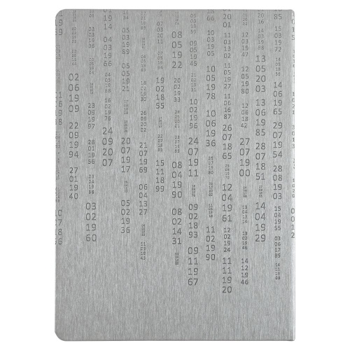 Ежедневник «Исторический», полудатированный, серебро фото 5