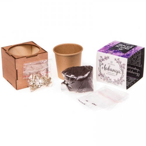 Набор для выращивания «Экокуб Lite», лаванда фото 6 Набор для выращивания «Экокуб Lite», лаванда фото 6