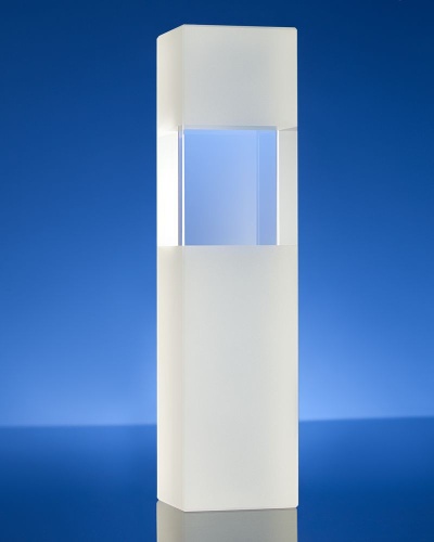 Награда Willpower, в подарочной коробке фото 3 Награда Willpower, в подарочной коробке фото 3