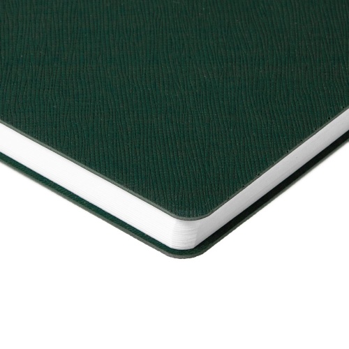 Ежедневник Flexpen Bright, недатированный, зеленый фото 3