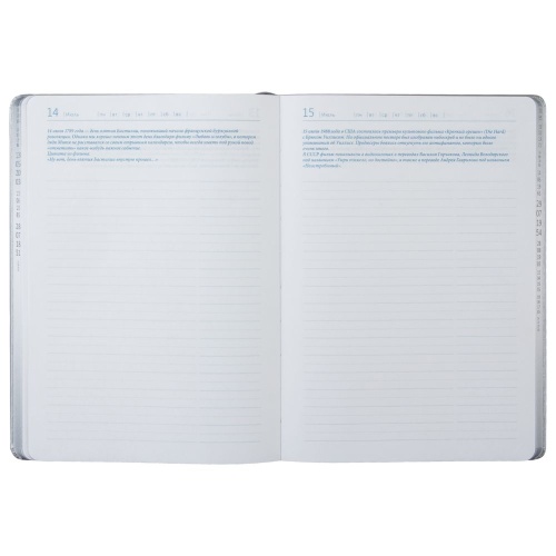 Ежедневник «Исторический», полудатированный, серебро фото 9