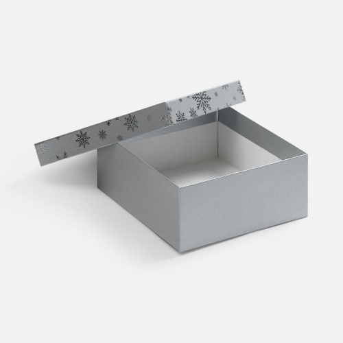 Коробка Wintry, серебристая фото 2