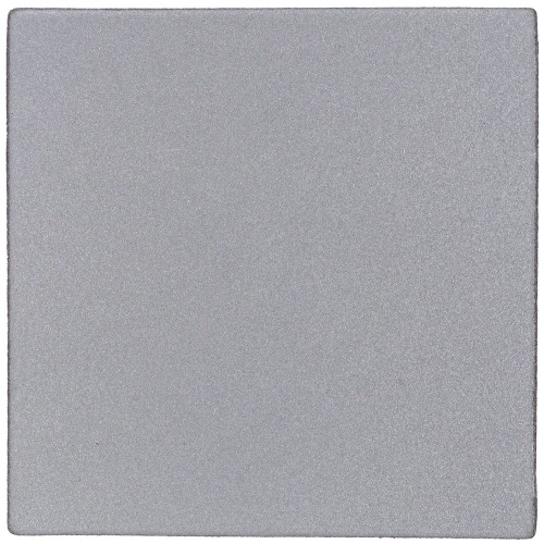 Лейбл светоотражающий Tao, L, серый