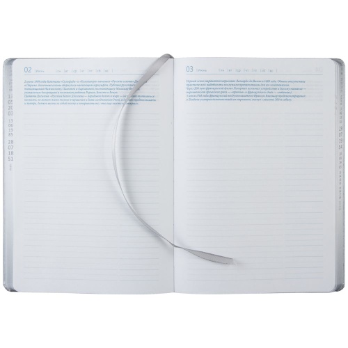 Ежедневник «Исторический», полудатированный, серебро фото 10