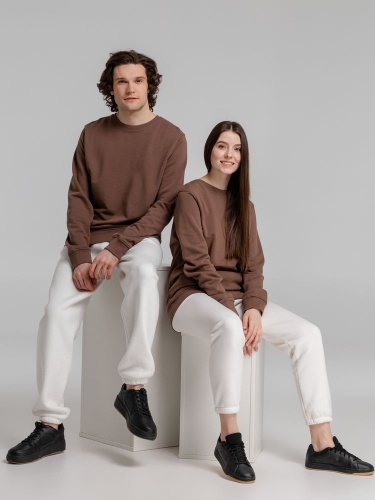 Свитшот унисекс BNC Inspire (Organic), коричневый (мокко) фото 14